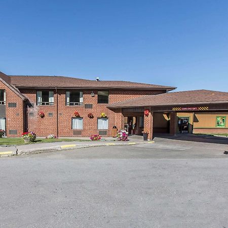 Comfort Inn Corner Brook Eksteriør billede