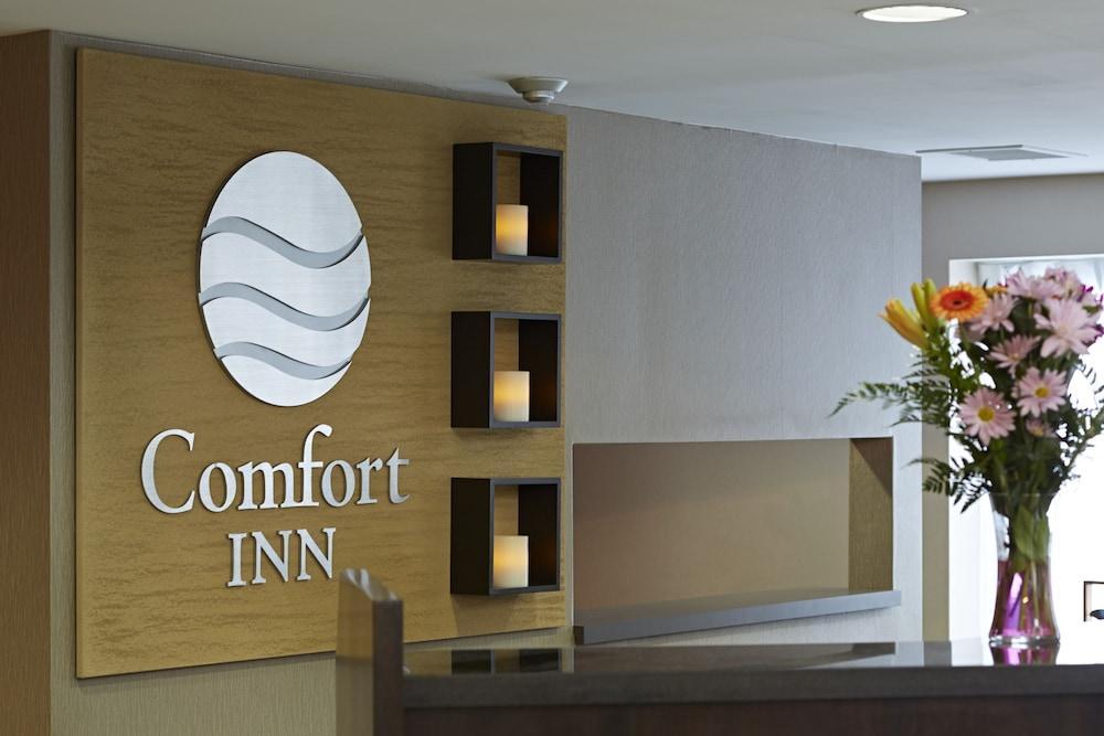 Comfort Inn Corner Brook Eksteriør billede