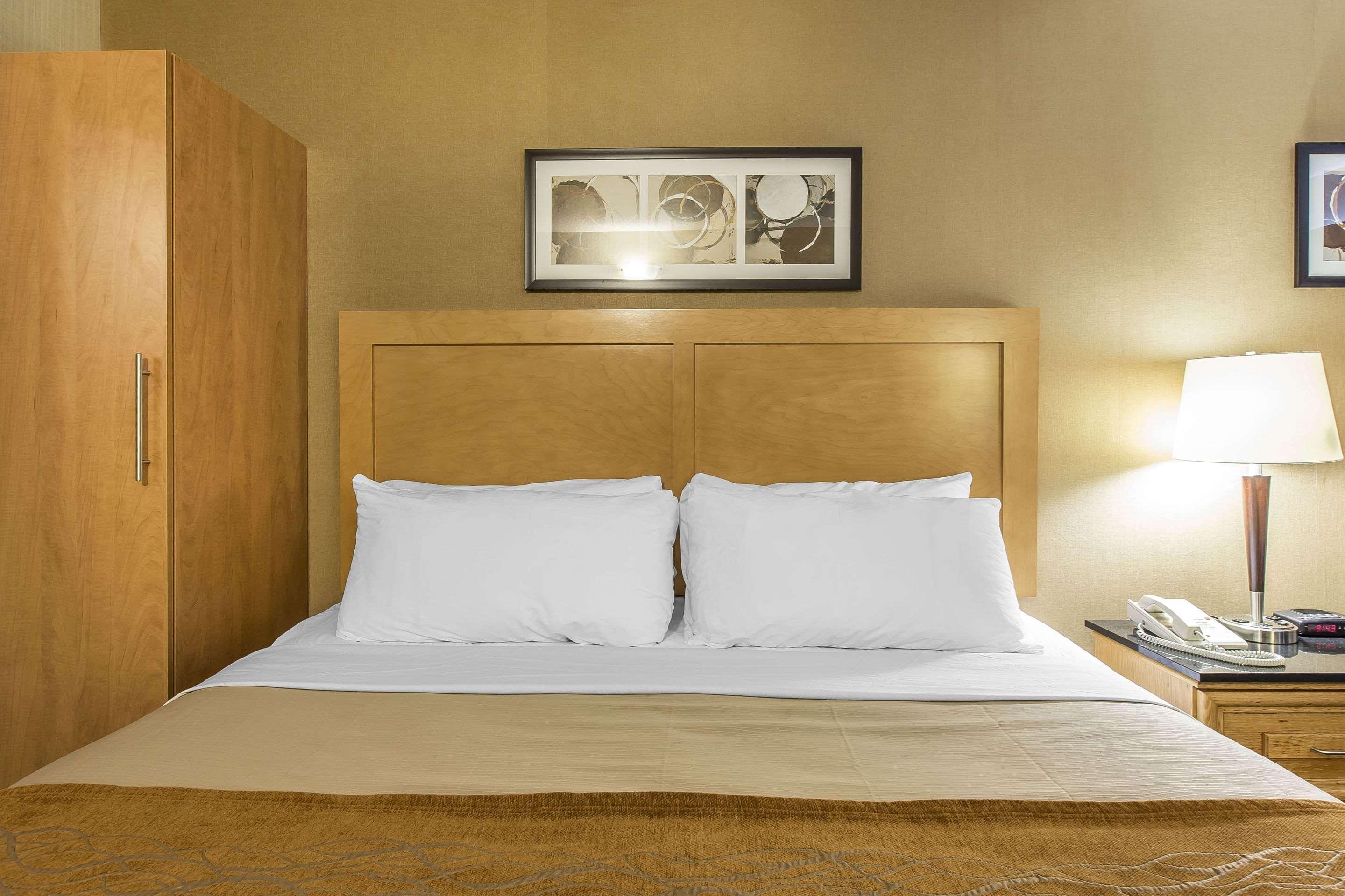 Comfort Inn Corner Brook Eksteriør billede